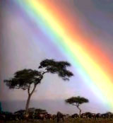 Colour Therapy