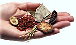 What is Nature Cure?